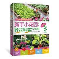 新手小花园