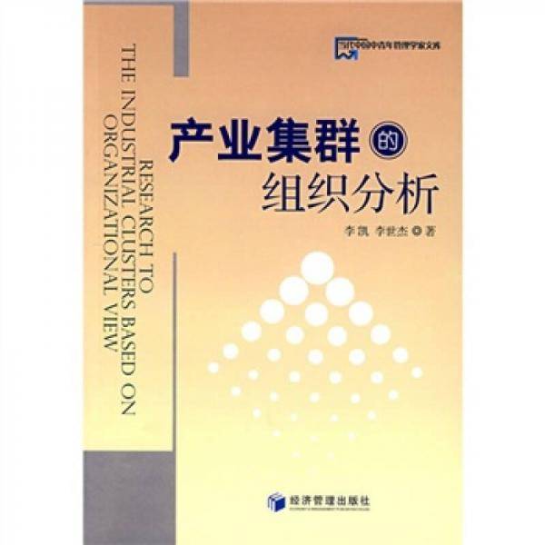 产业集群的组织分析