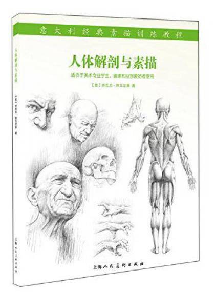 人体解剖与素描