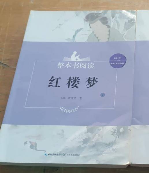 红楼梦 上下册 整本书阅读高中下 长江文艺出版社