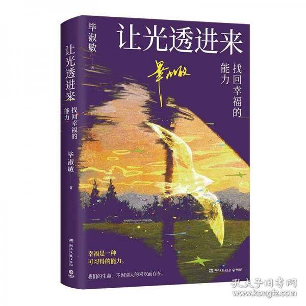 让光透进来：找回幸福的能力