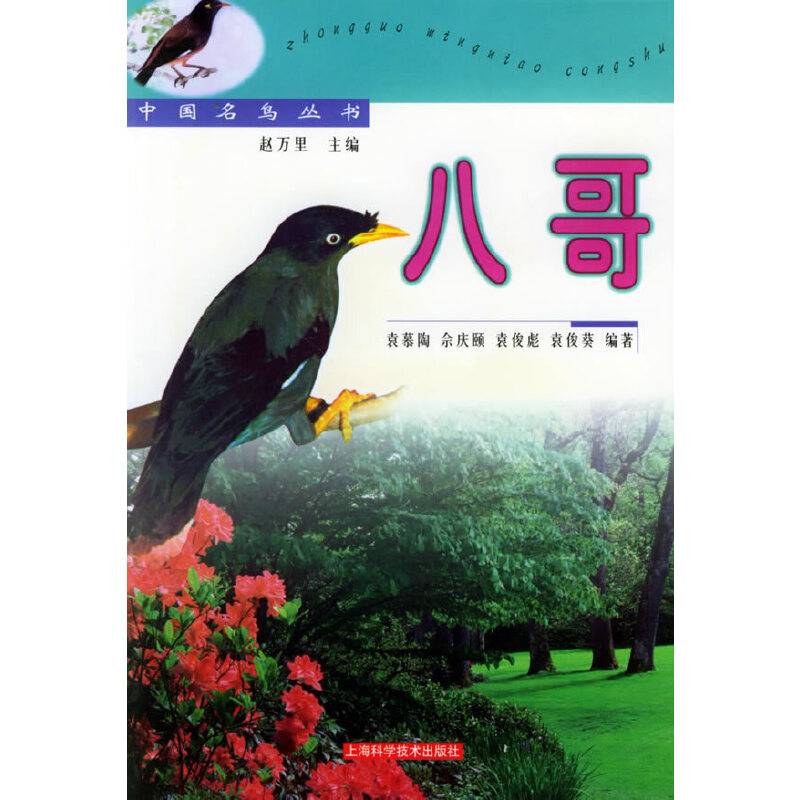 八哥