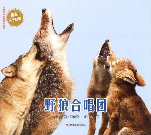 动物亲情故事摄影绘本：野狼合唱团