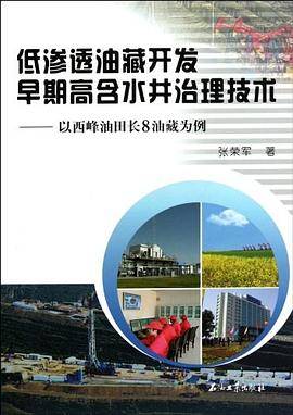 低渗透油藏开发早期高含水井治理技术