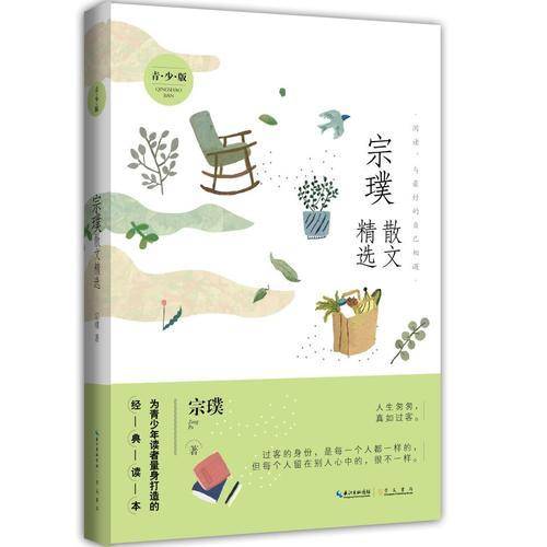 宗璞散文精选名家散文精选