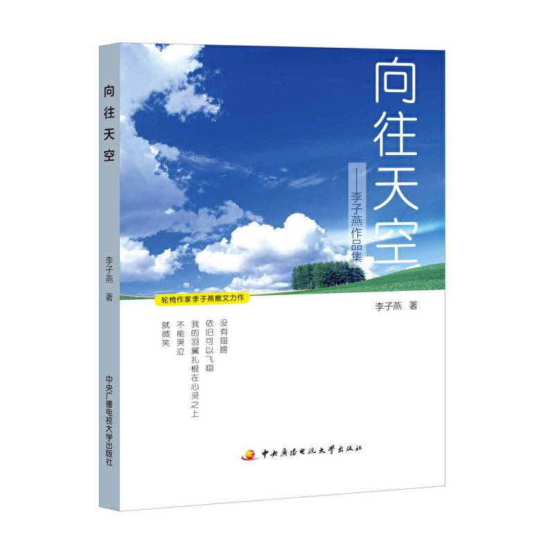 向往天空：李子燕作品集
