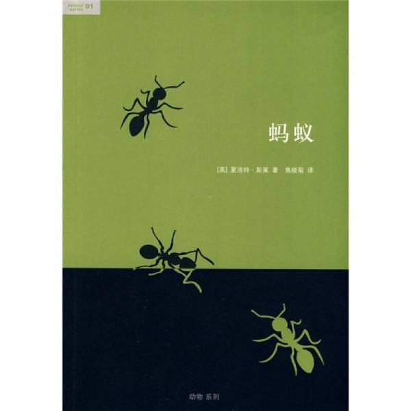 蚂蚁
