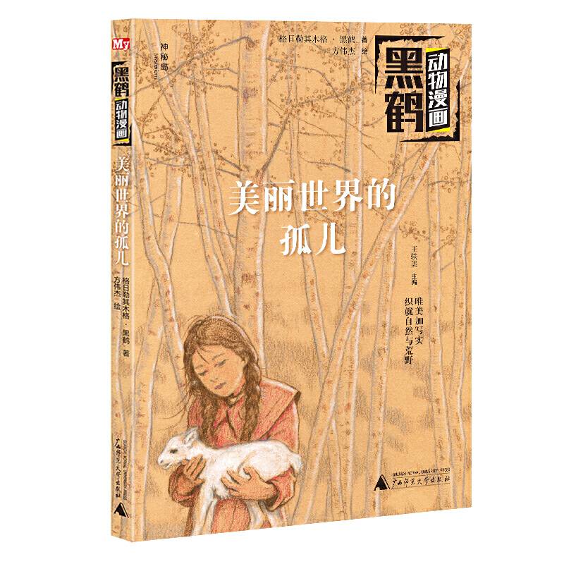 美丽世界的孤儿