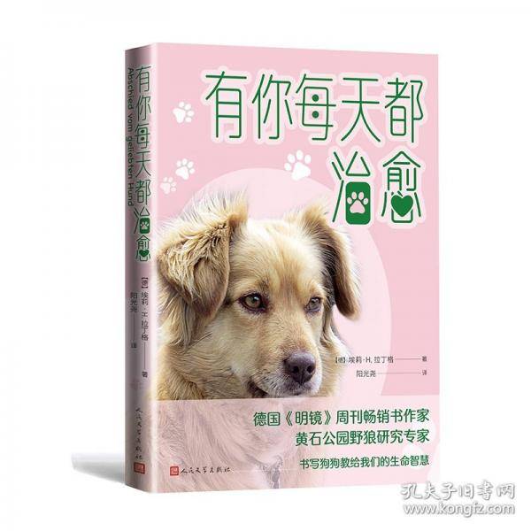 有你每天都治愈