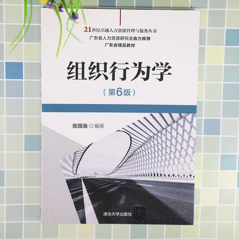 组织行为学（第6版）（21世纪卓越人力资源管理与服务丛书）