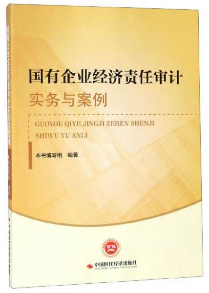 国有企业经济责任审计实务与案例