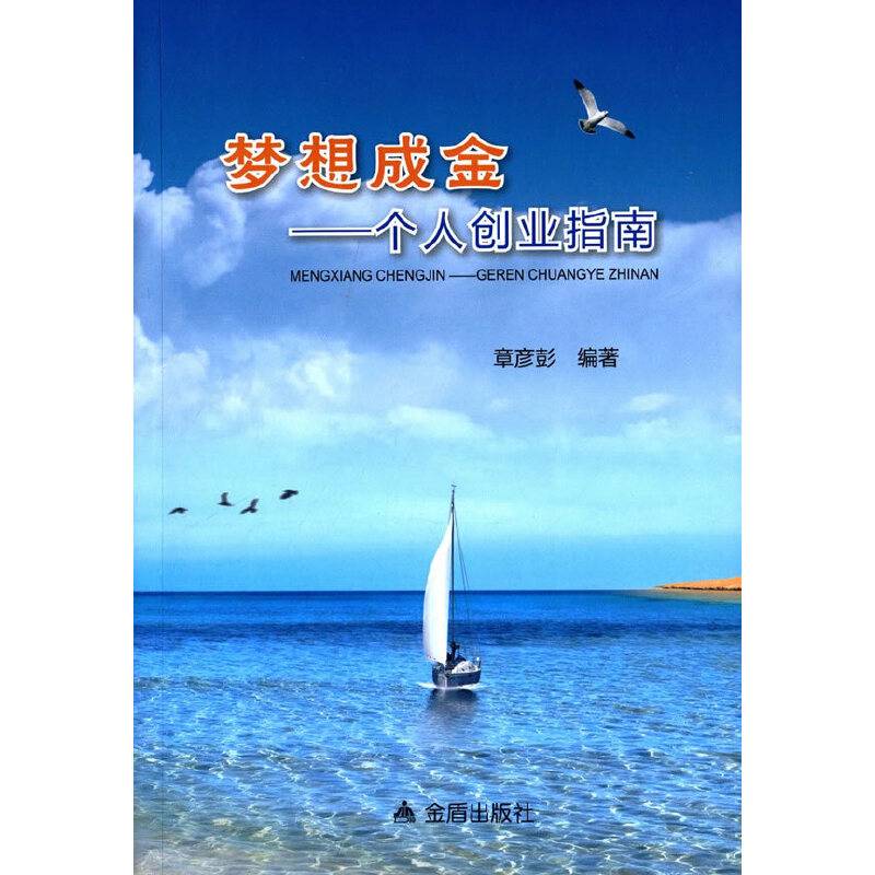 梦想成金 个人创业指南