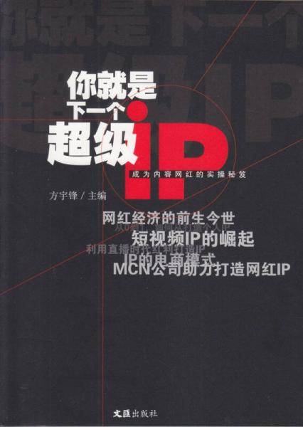 你就是下一个超级IP