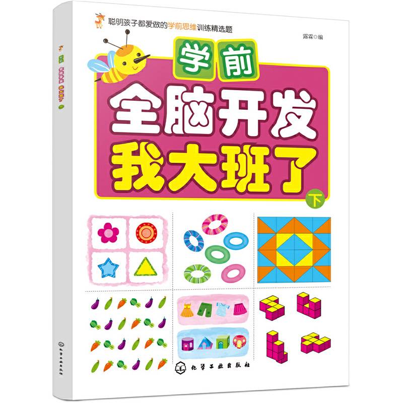 学前全脑开发.我大班了.下