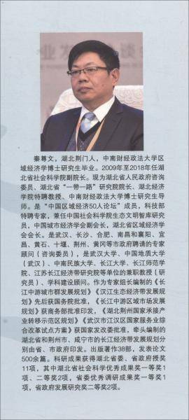 长江经济带城镇化发展研究