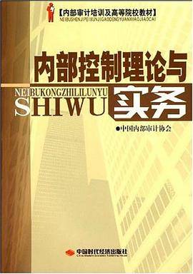 内部控制理论与实务