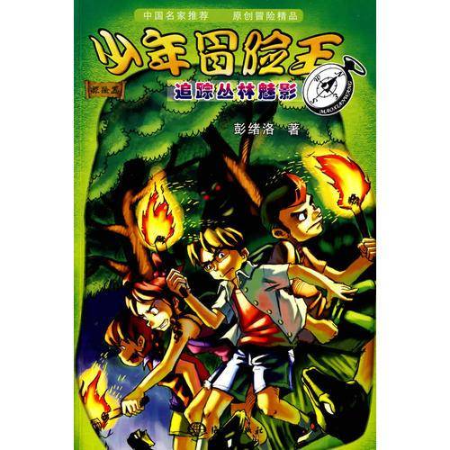少年冒险王