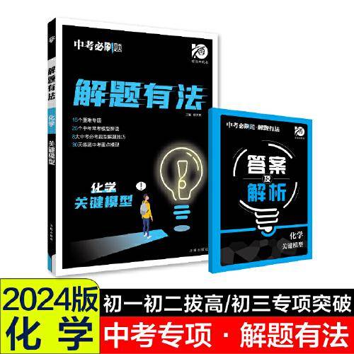 2024中考必刷题 解题有法 关键模型 化学