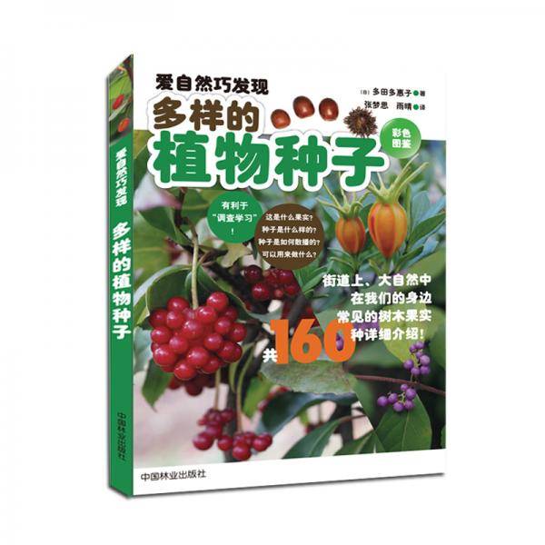 爱自然巧发现：多样的植物种子