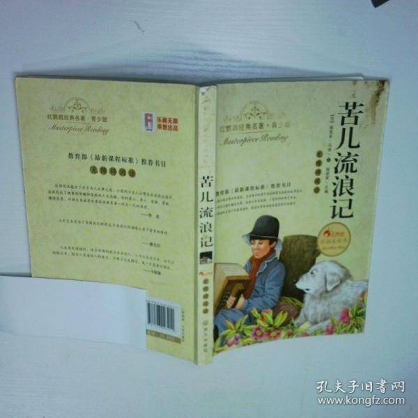苦儿流浪记