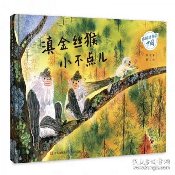 滇金丝猴小不点儿
