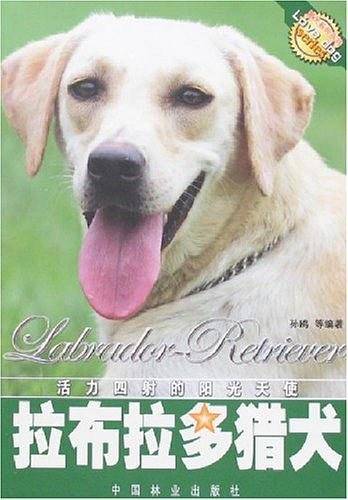 拉布拉多猎犬