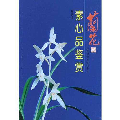 兰花素心品鉴赏