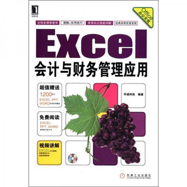 Office办公无忧：Excel会计与财务管理应用