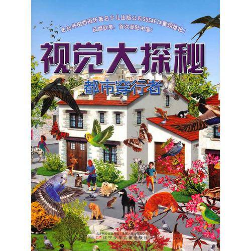 视觉大探秘