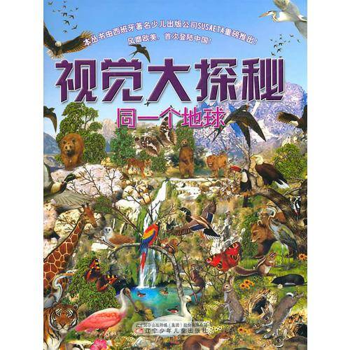 视觉大探秘