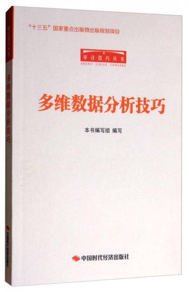 多维数据分析技巧/审计技巧丛书