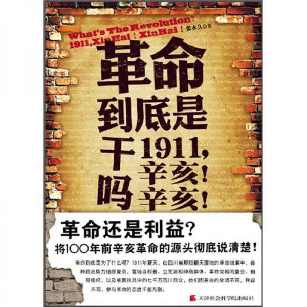 革命到底是干吗？