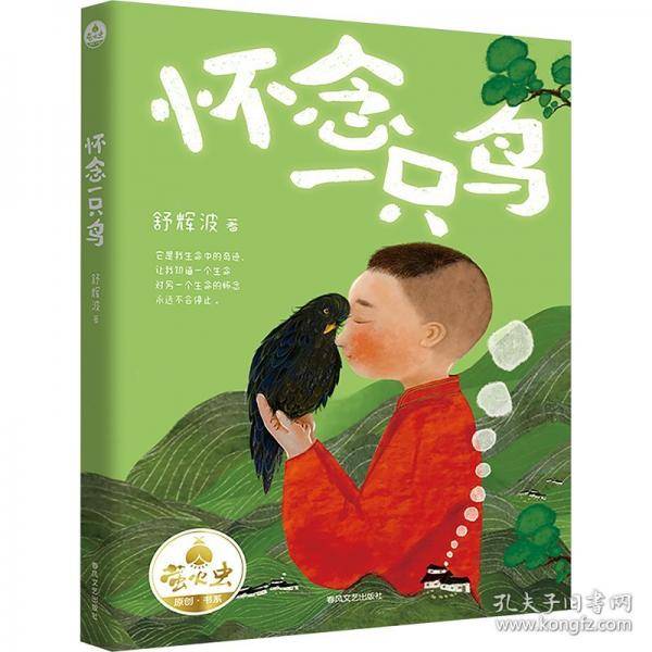 怀念一只鸟