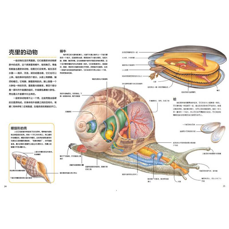 万物运转的秘密：动物