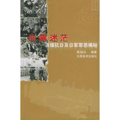血雾迷茫：滇缅抗日及日军罪恶揭秘/中国远征军滇西大战系列丛书