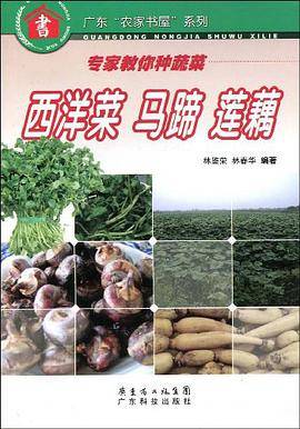 西洋菜马蹄莲藕