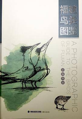 福建鸟类图鉴