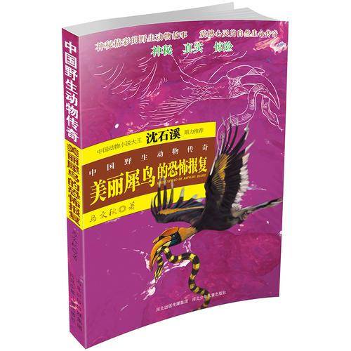 中国野生动物传奇-美丽犀鸟的恐怖报复