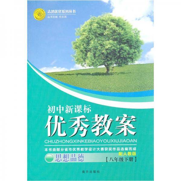 初中优秀教案