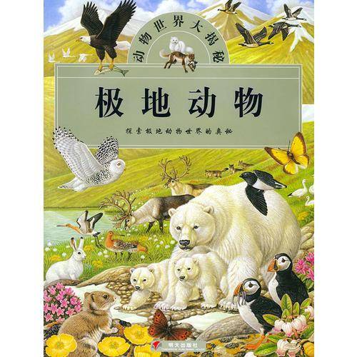 极地动物