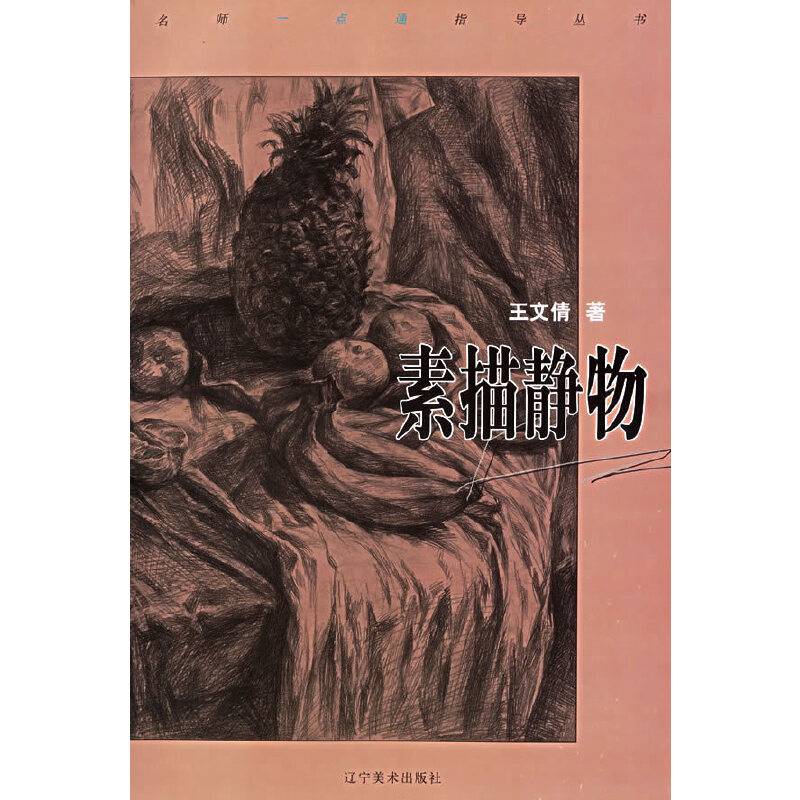 名师一点通指导丛书