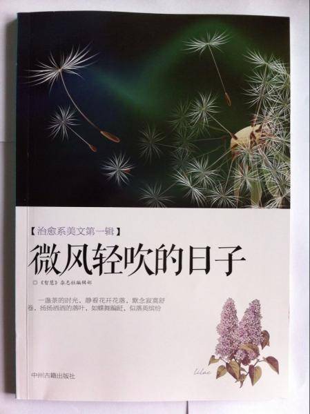 微风轻吹的日子
