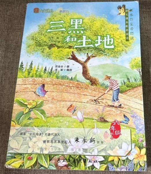 三黑和土地