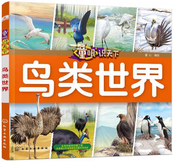 童眼识天下――鸟类世界
