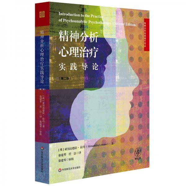 精神分析心理治疗实践导论