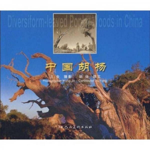 中国胡杨