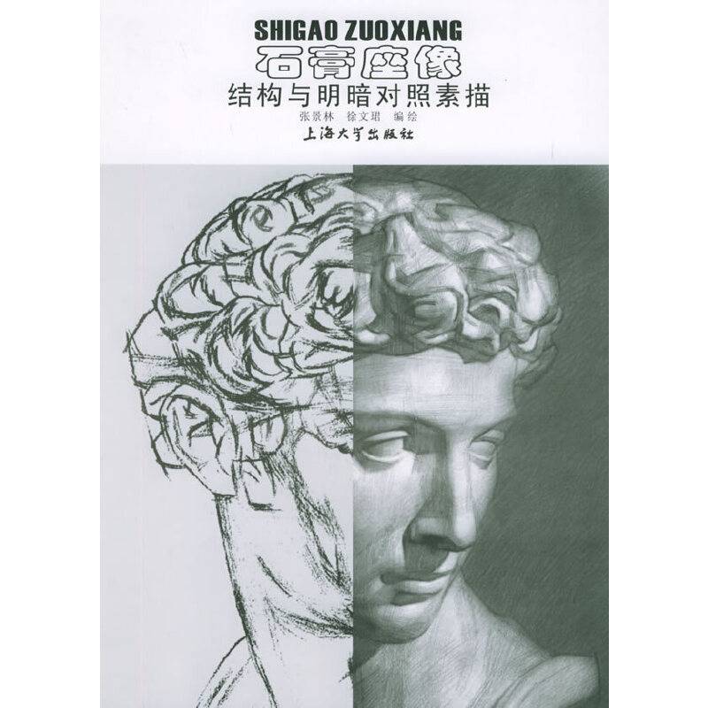 石膏座像：结构与明暗对照素描