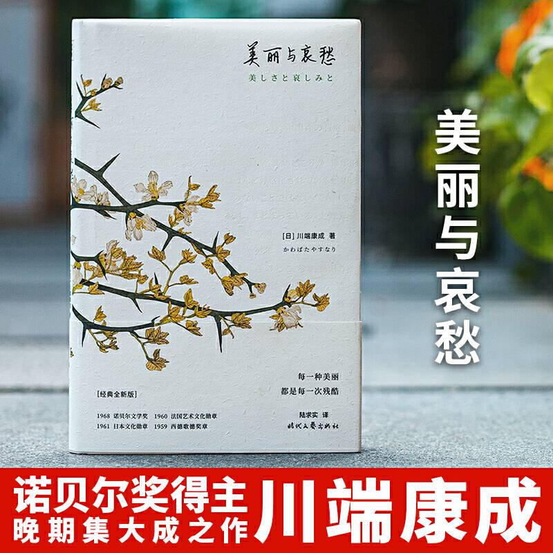 美丽与哀愁