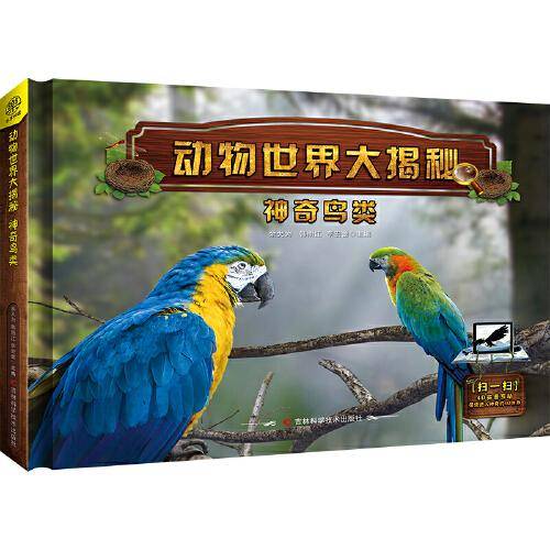 动物世界大揭秘：神奇鸟类