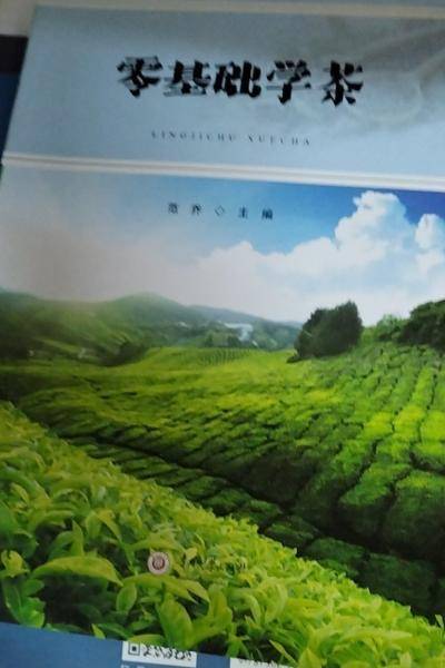 零基础学茶
